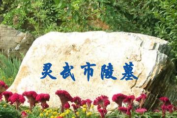 银川灵武市陵墓
